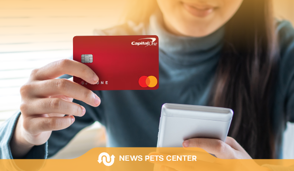 BJâs One Mastercard